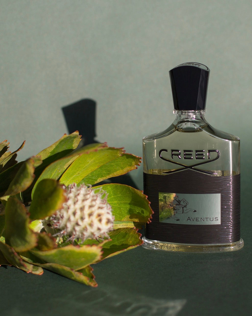 Creed Aventus, 3.3 oz.